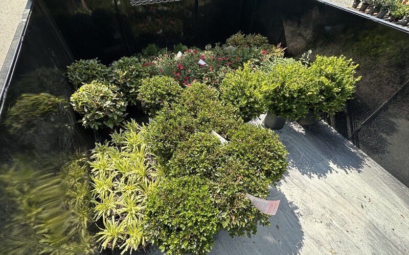 Professional Landscape Design and Install Services in Stafford, VA.